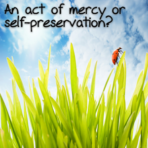 Read more about the article An act of mercy or self-preservation?