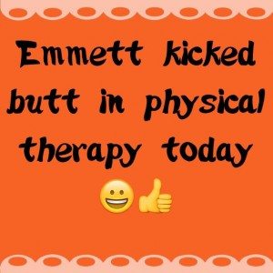 Read more about the article Emmett kicked butt in physical therapy today