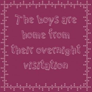 Read more about the article The boys are home from their overnight visitation 