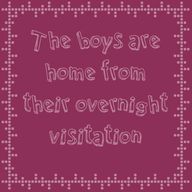 Read more about the article The boys are home from their overnight visitation 