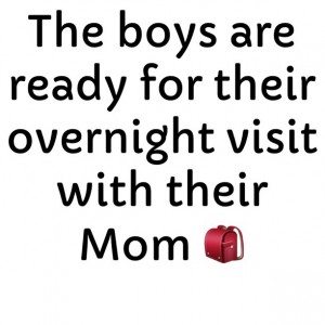 Read more about the article The boys are ready for their overnight visit with their Mom