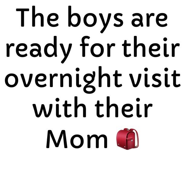 Read more about the article The boys are ready for their overnight visit with their Mom