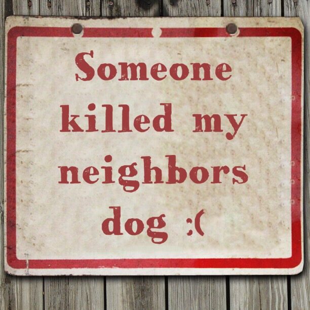 Read more about the article Someone killed my neighbors dog :(