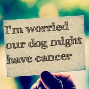 Read more about the article I’m worried our dog might have cancer