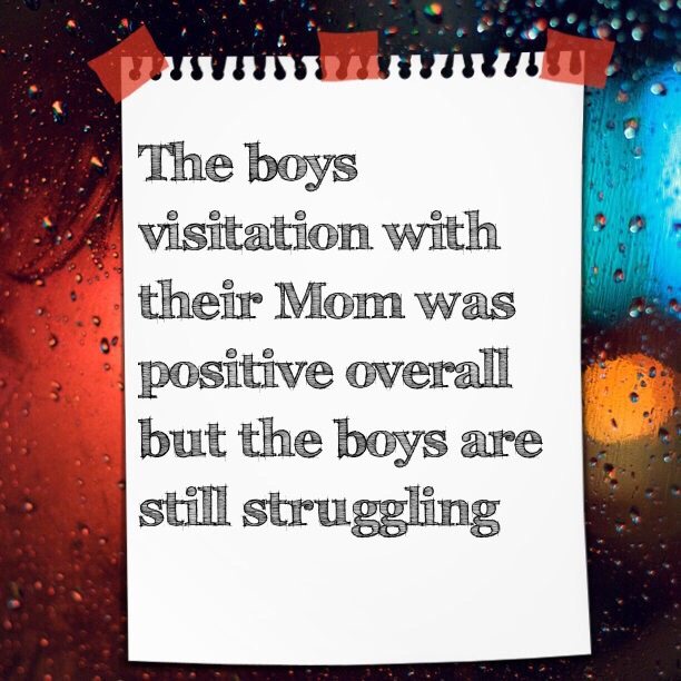 Read more about the article The boys visitation with their Mom was positive overall but the boys are still struggling