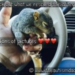 Gavin and I just rescued two beautiful baby squirrels :)
