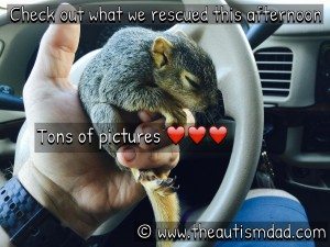Read more about the article Gavin and I just rescued two beautiful baby squirrels :)