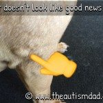 It doesn’t look like good news