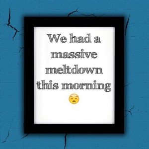 Read more about the article We had a massive meltdown this morning 