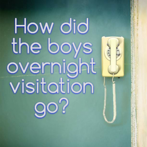 Read more about the article How did the boys overnight visitation go?
