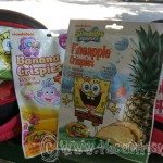 HELP YOUR KIDS EAT HEALTHIER: Healthy Munchy – Lunchbox Friendly Fruit Crispies