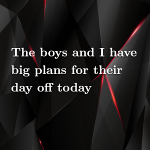 Read more about the article The boys and I have big plans for their day off today