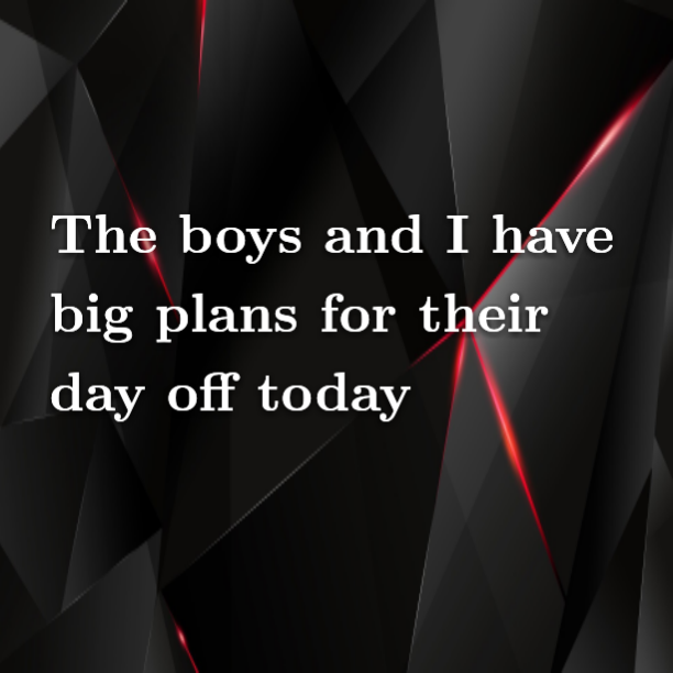 Read more about the article The boys and I have big plans for their day off today