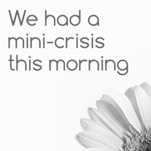 Read more about the article We had a mini-crisis this morning