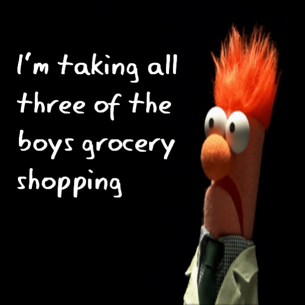 Read more about the article I’m taking all three of the boys grocery shopping