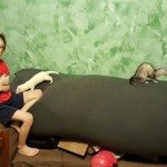 Ferrets have become a real motivator for my kids with #Autism