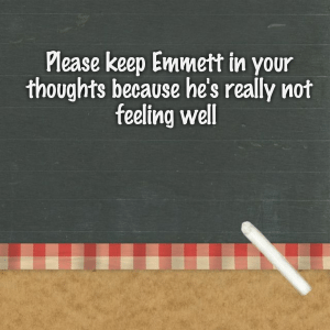 Read more about the article Please keep Emmett in your thoughts because he’s really not feeling well