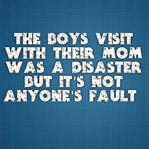 Read more about the article The boys visit with their Mom was a disaster but it’s not anyone’s fault