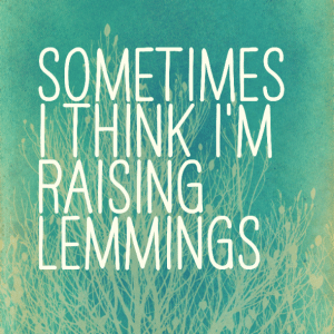Read more about the article Sometimes I think I’m raising lemmings