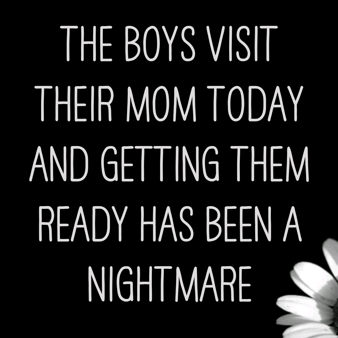 Read more about the article The boys visit their Mom today and getting them ready has been a nightmare 