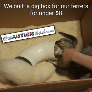 Read more about the article We built a dig box for our ferrets for under $8 