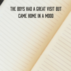 Read more about the article The boys had a great visit but came home in a mood