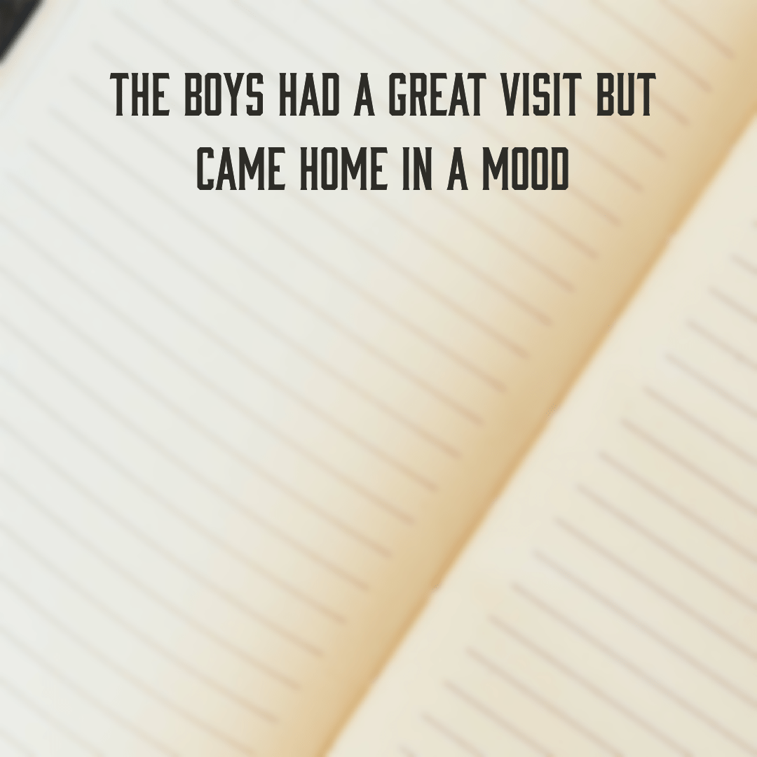 Read more about the article The boys had a great visit but came home in a mood