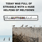 Today was full of struggle with a huge helping of meltdown