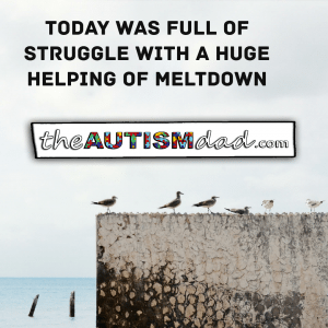 Read more about the article Today was full of struggle with a huge helping of meltdown