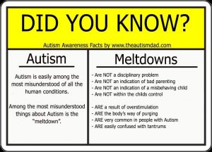 Read more about the article A few basic facts about #Autism and #Meltdowns that everyone should know