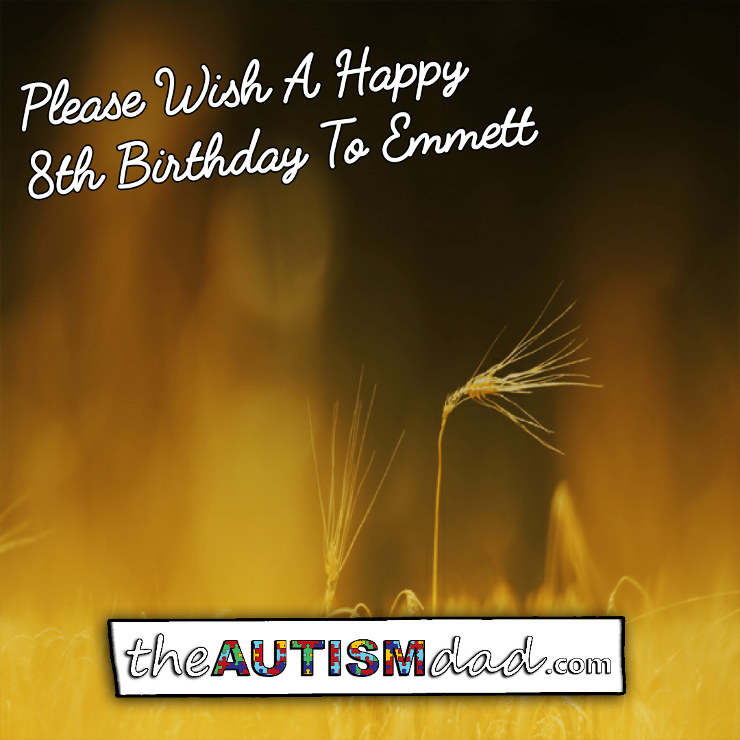 Read more about the article Please Wish A Happy 8th Birthday To Emmett 