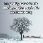 I’m pretty sure Gavin’s manic, maybe psychotic and here’s why