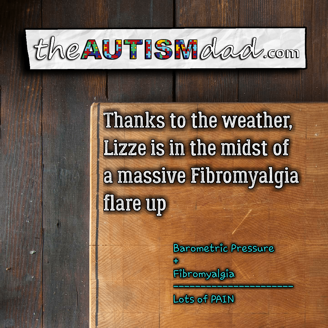 Read more about the article Thanks to the weather, Lizze is in the midst of a massive Fibromyalgia flare up