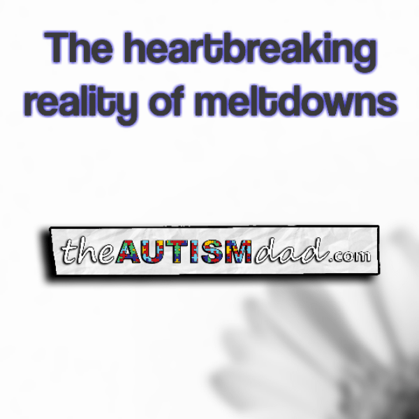 Read more about the article The heartbreaking reality of meltdowns