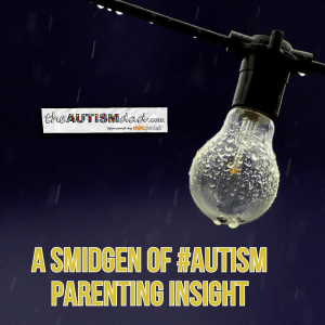 Read more about the article A smidgen of #Autism Parenting insight