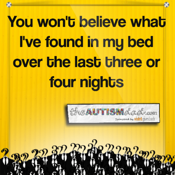 Read more about the article You won’t believe what I’ve found in my bed over the last three or four nights