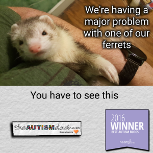 Read more about the article We’re having a major problem with one of our ferrets