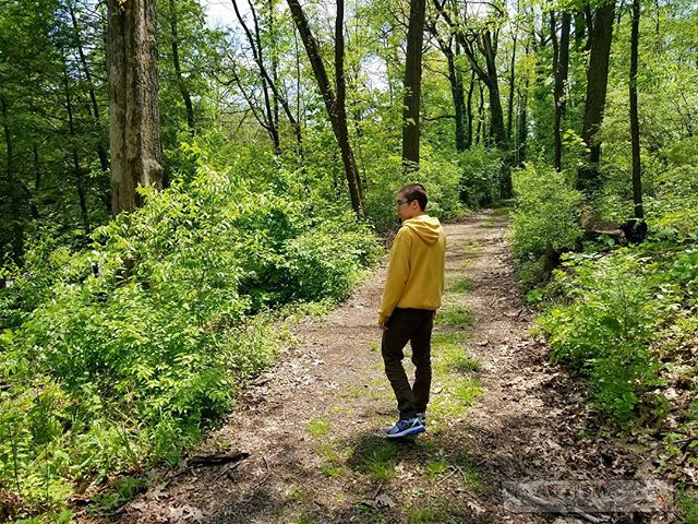 Hiking with the boys at Stadium Park