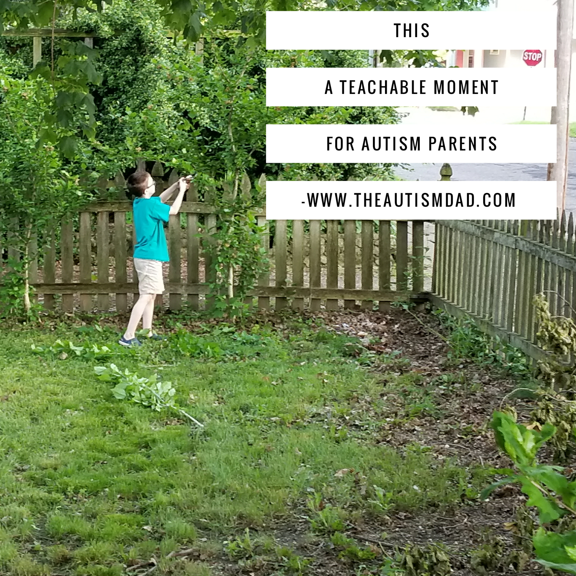 Read more about the article This a teachable moment for #Autism parents