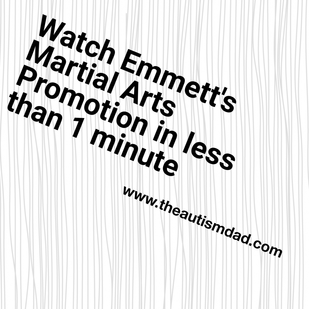 Read more about the article Watch Emmett’s Martial Arts Promotion in less than 1 minute