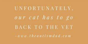 Read more about the article Unfortunately, our cat has to go back to the vet