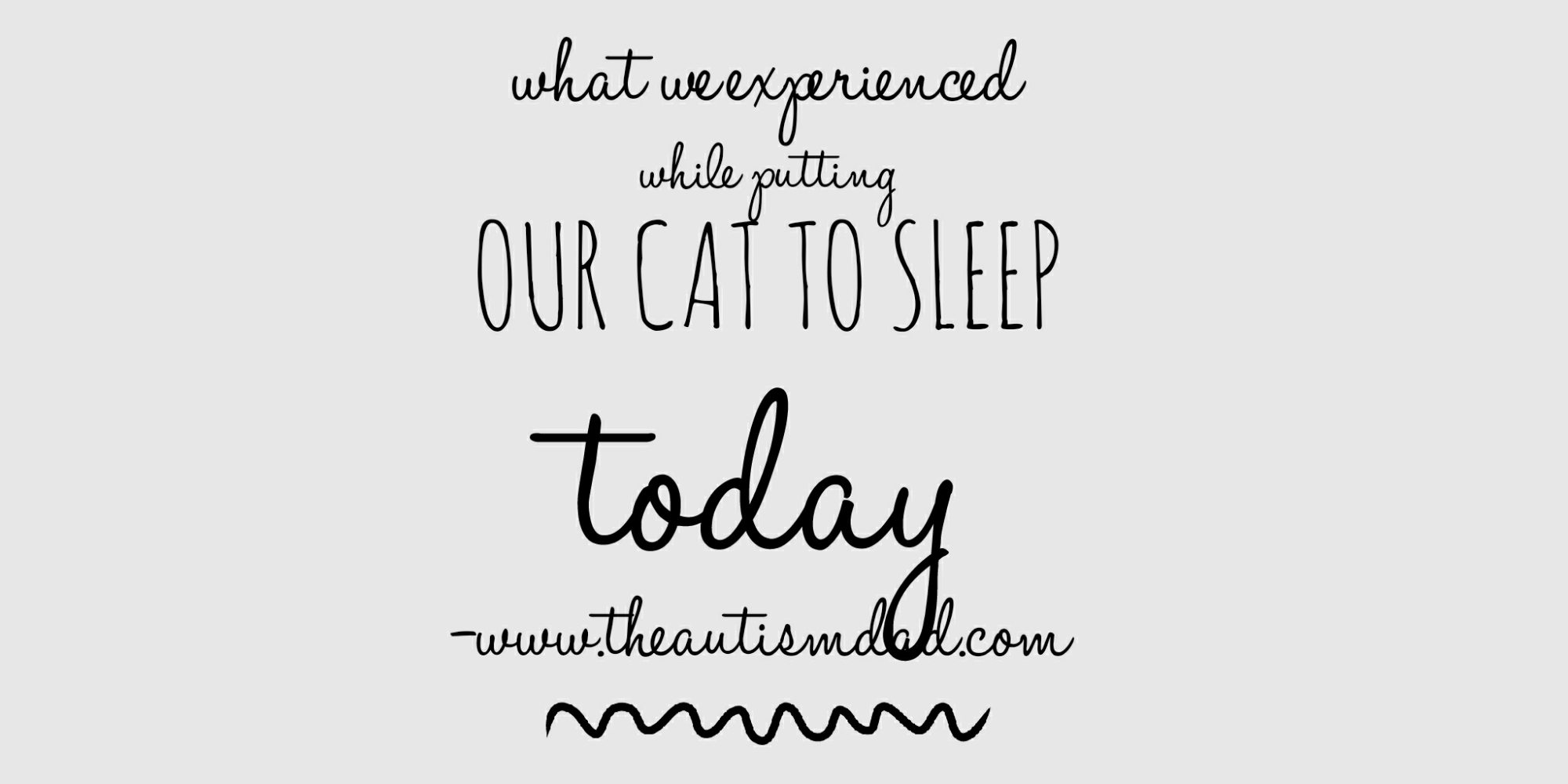 Read more about the article What we experienced while putting our cat to sleep today