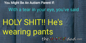 Read more about the article You Might Be An #Autism Parent If:  Holy Shit