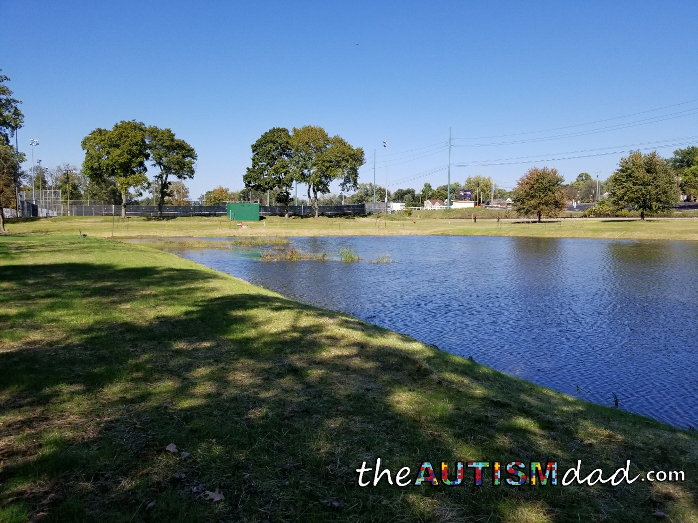 Fall at the Canton Garden Center 10/14/2014 (Gallery)