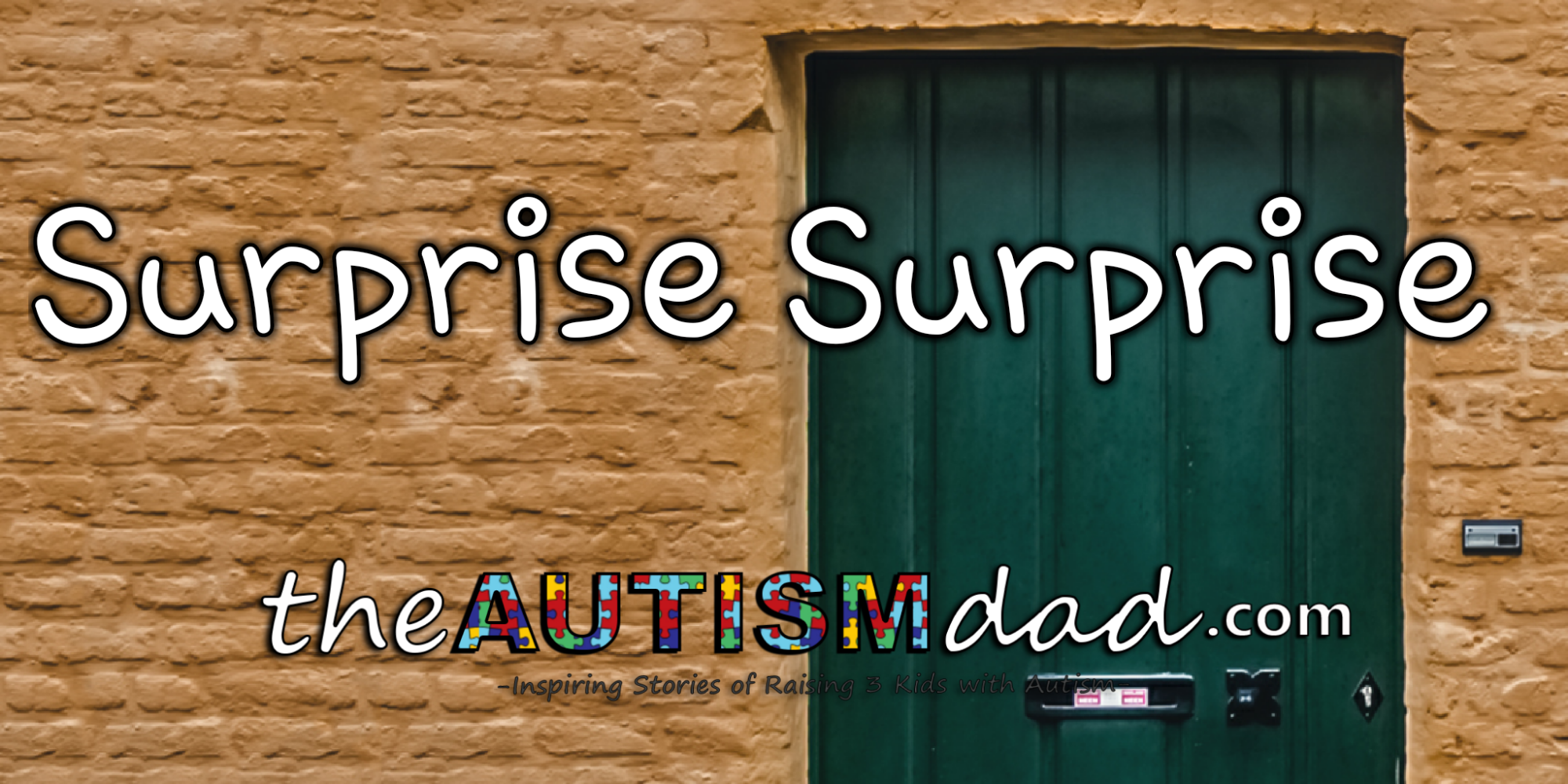 Read more about the article Surprise Surprise