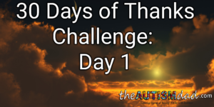 Read more about the article 30 Days of Thanks Challenge: Day 1