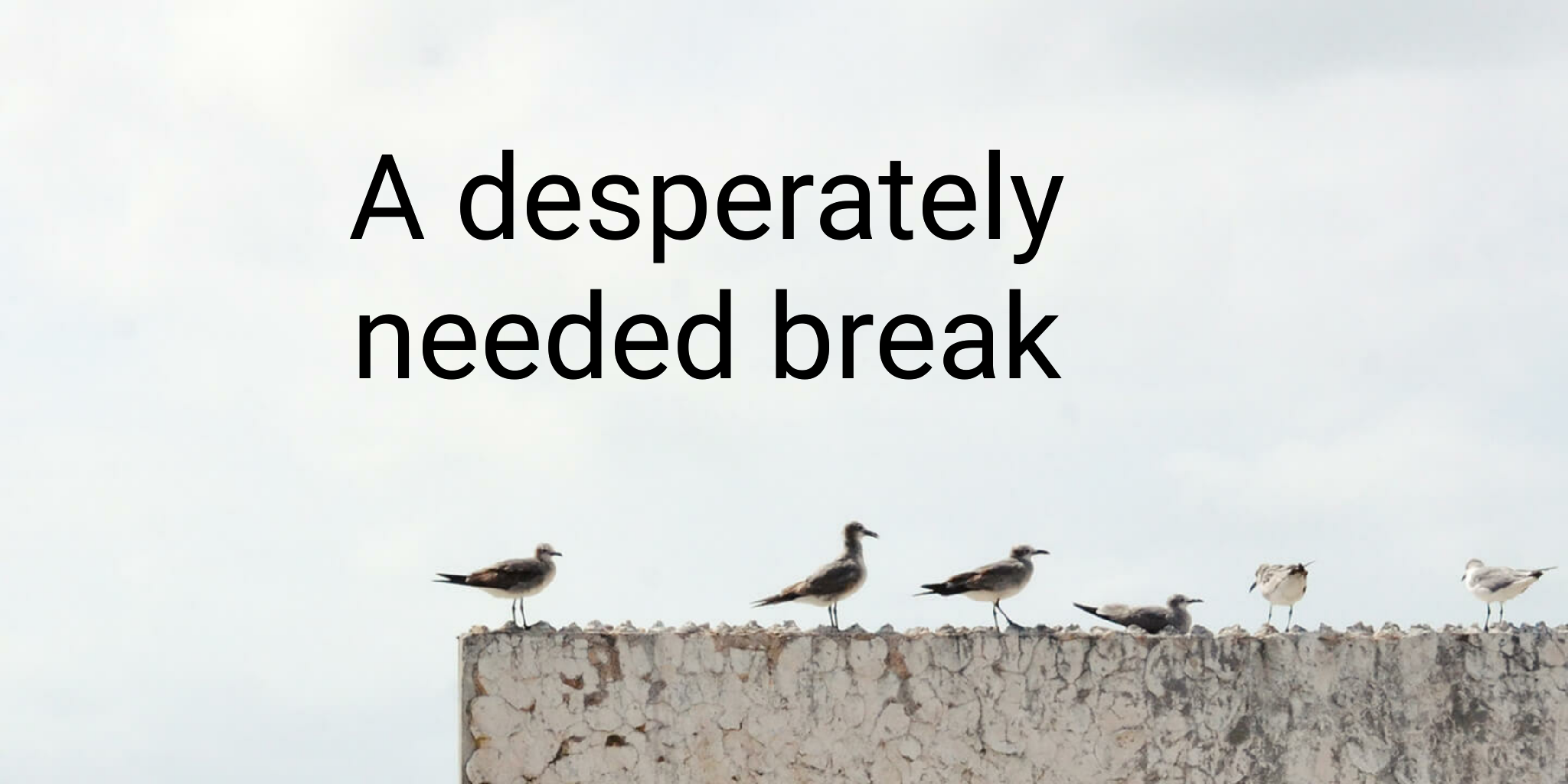 Read more about the article A desperately needed break