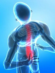 Read more about the article My major back injury