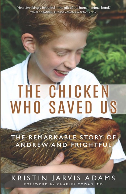 Read more about the article Never Underestimate the Power of a Chicken