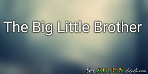 Read more about the article The Big Little Brother